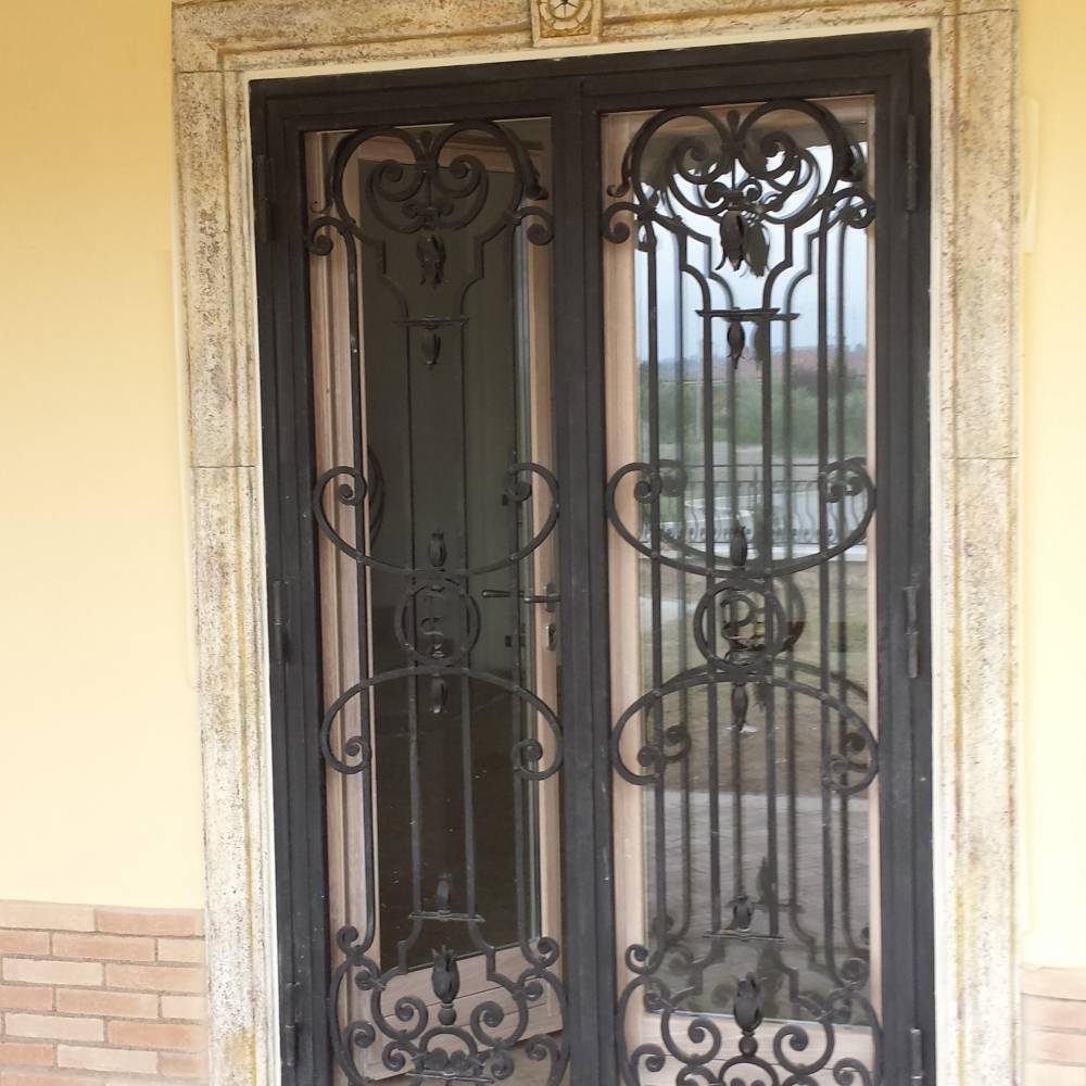 Protection en fer forgé for door